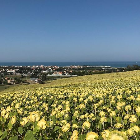 Agricampeggio Abbruzzetti Marina Palmense Eksteriør billede